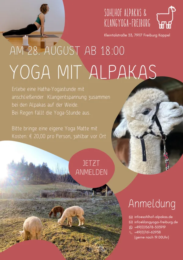 Flyer: Yoga mit Alpakas am 28. August ab 18 Uhr beim Sohlhof Alpakas in Freiburg-Kappel